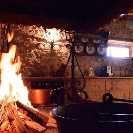 Chalet La Rite Dolomiti Masarie المظهر الخارجي الصورة